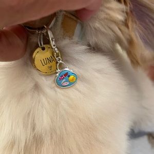 🐾Purse themed pet charm